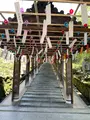 長谷寺の写真_533598