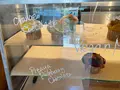 very veggy by BRUNCHES（ベリーベジーサラダワークス）の写真_533703