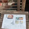 直吉の写真_534150