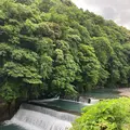 直吉の写真_534152