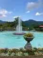 箱根強羅公園の写真_534156