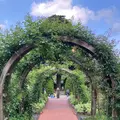 箱根強羅公園の写真_534160