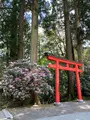 箱根神社の写真_534174