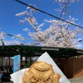 高尾山スミカの写真_534705