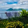 洞爺湖の写真_534765