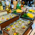ザレイクビューＴＯＹＡ乃の風リゾートの写真_534775
