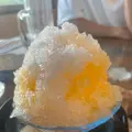 ハナイチ デアマールの写真_535710