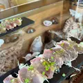 ハナイチ デアマールの写真_535711