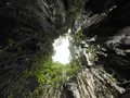  Batu Caves（バトゥ洞窟）の写真_535758