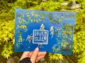 勝林寺の写真_535950