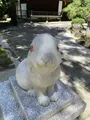 岡崎神社の写真_536091