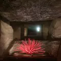 大谷資料館の写真_536242