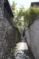 ペスカトーリ島の写真_537844