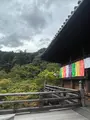 長谷寺の写真_537889