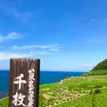 白米千枚田の写真_538133
