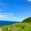 白米千枚田の写真_538134