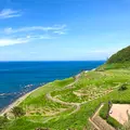 白米千枚田の写真_538135