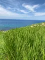 白米千枚田の写真_538136