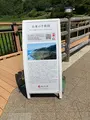 白米千枚田の写真_538137