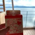 白鷺の湯 能登 海舟の写真_538168