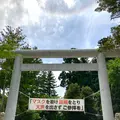 白山比咩神社の写真_538173