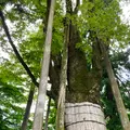 白山比咩神社の写真_538177