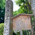 白山比咩神社の写真_538178