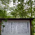 金剣宮の写真_538181