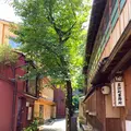 主計町茶屋街の写真_538197