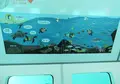 Discoverlamay探索拉美の写真_538437