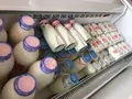 能登ミルクの写真_539280