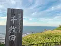 白米千枚田の写真_539287