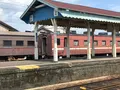 新金谷駅の写真_539742