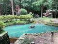 大麻比古神社の写真_540492