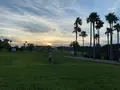 神奈川県立辻堂海浜公園の写真_540719