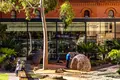 South Australian Museumの写真_540818