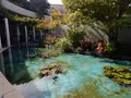 大塚国際美術館の写真_540860