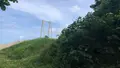 恩納海浜公園ナビービーチの写真_541149