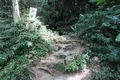 ガンガラーの谷の写真_541600