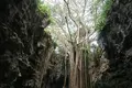 ガンガラーの谷の写真_541603