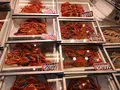 近江町市場の写真_541672
