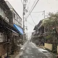 ひがし茶屋街の写真_541675