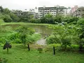 松山文創園区の写真_541886