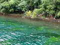 山線鉄橋の写真_541932