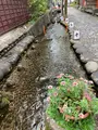 やなか水のこみちの写真_542303