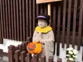八幡町新町の写真_542317