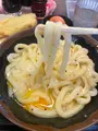 手打十段うどん バカ一代の写真_542693