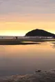 父母ヶ浜海岸の写真_542724