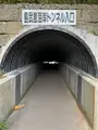 島武意海岸の写真_543050
