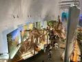 福井県立恐竜博物館の写真_543233